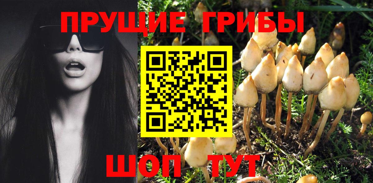 Галлюциногенные грибы GOLDEN TEACHER Избербаш