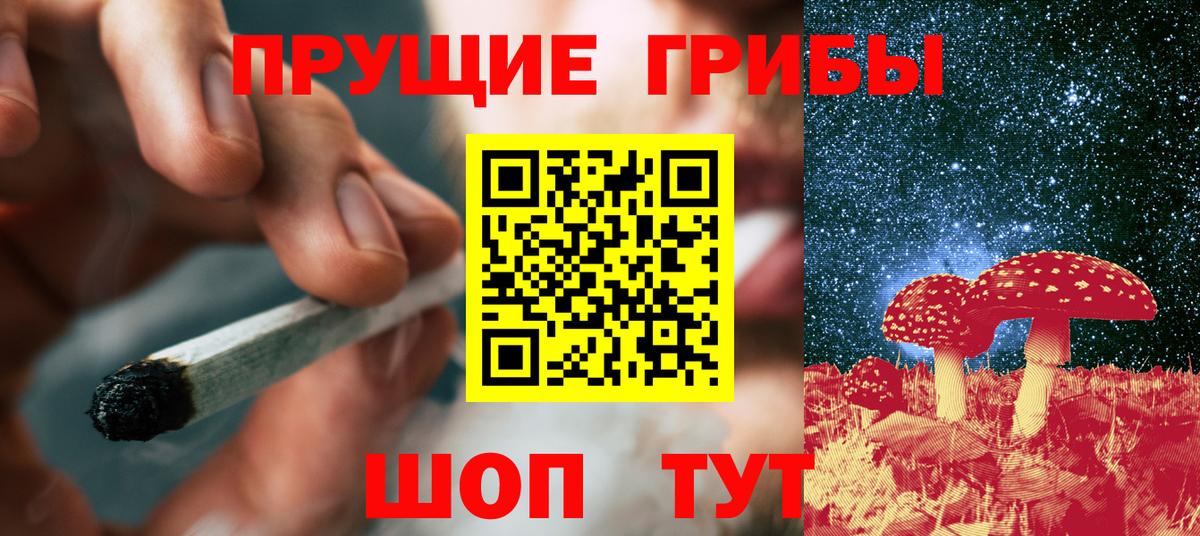 Псилоцибиновые грибы Psilocybine cubensis  Вход с VPN  Избербаш 